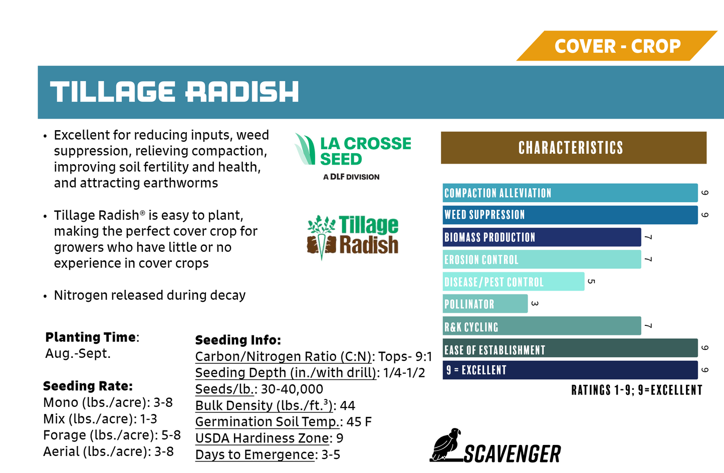 Cover Crop Radish