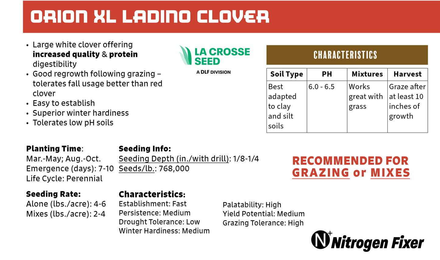 Ladino Clover