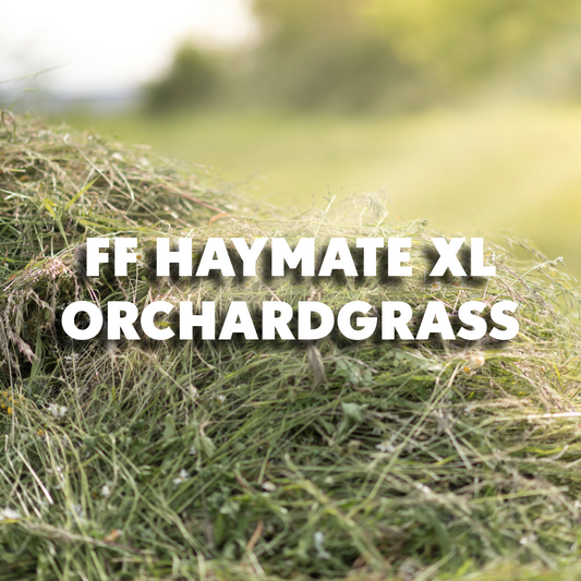 FF Haymate XL Orchardgrass