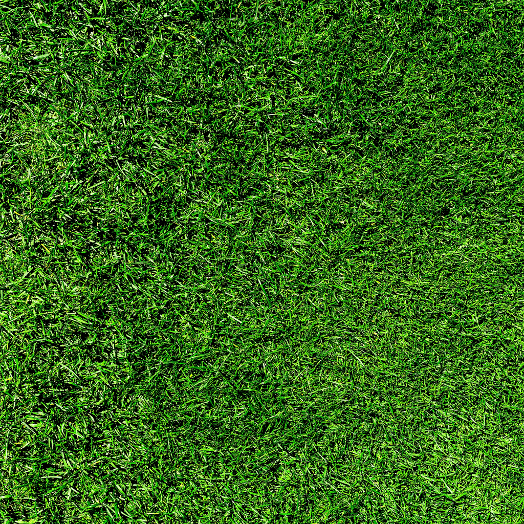 Preferred PA Turf Mix