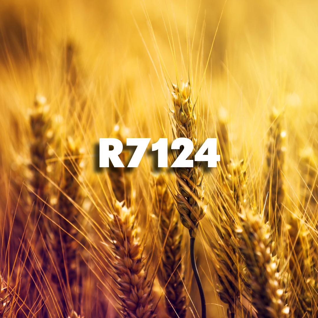 ReGenAg Seed™ Winter Wheat