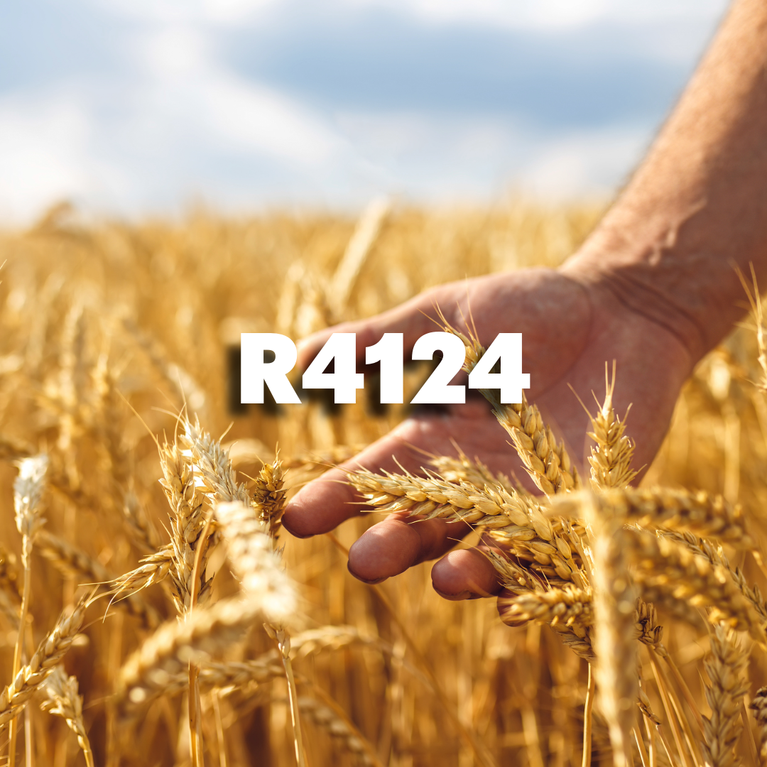 ReGenAg Seed™ Winter Wheat