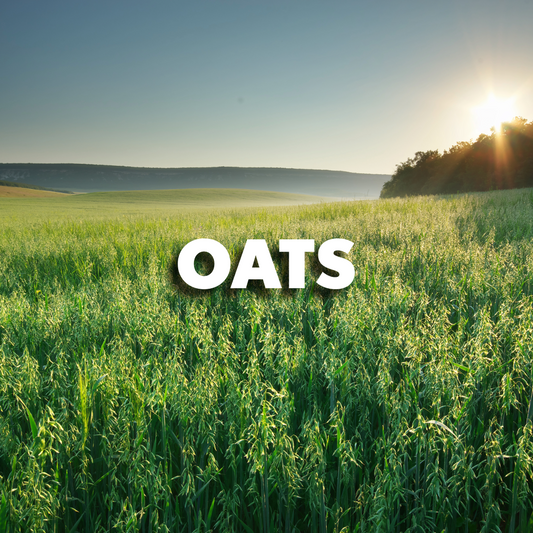 Oats